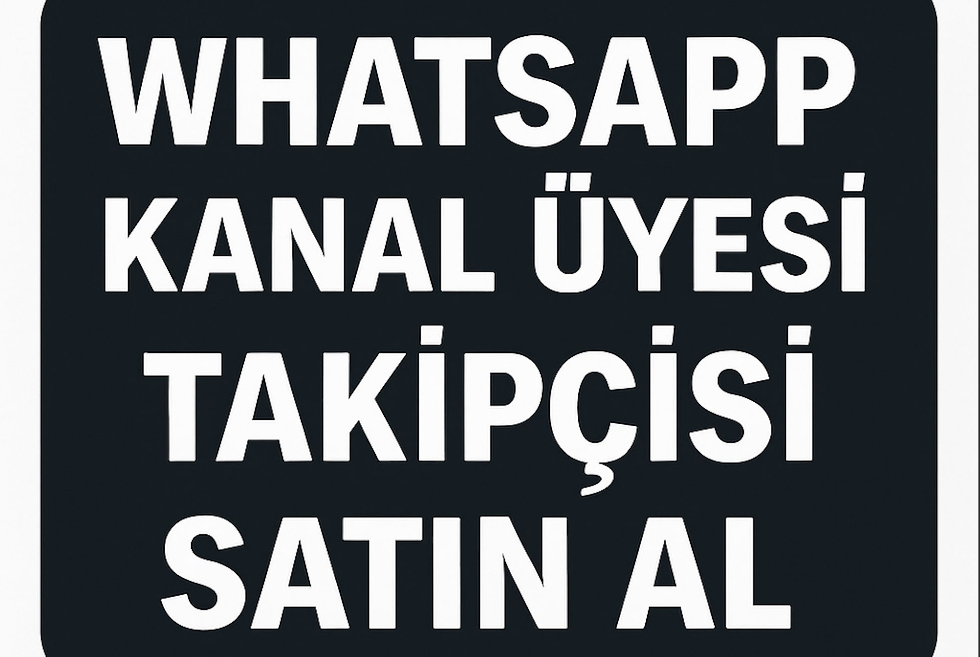 WhatsApp Ucuz Takipçi Satın Al
